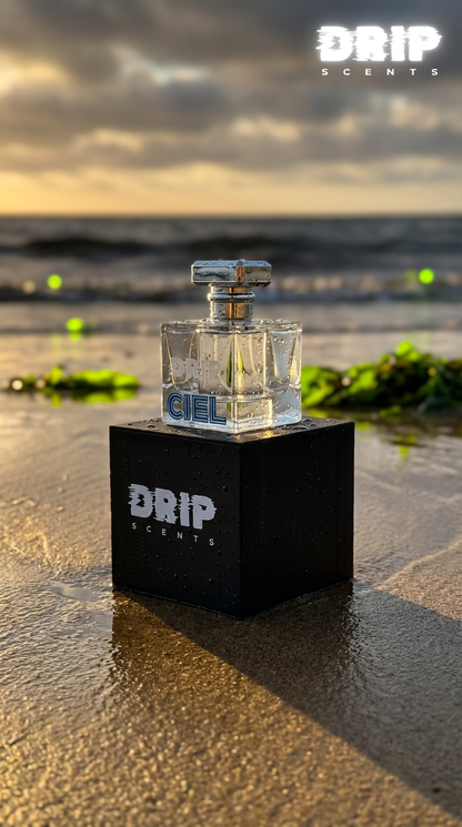 DRIP CIEL inspired by Bleu de Chanel