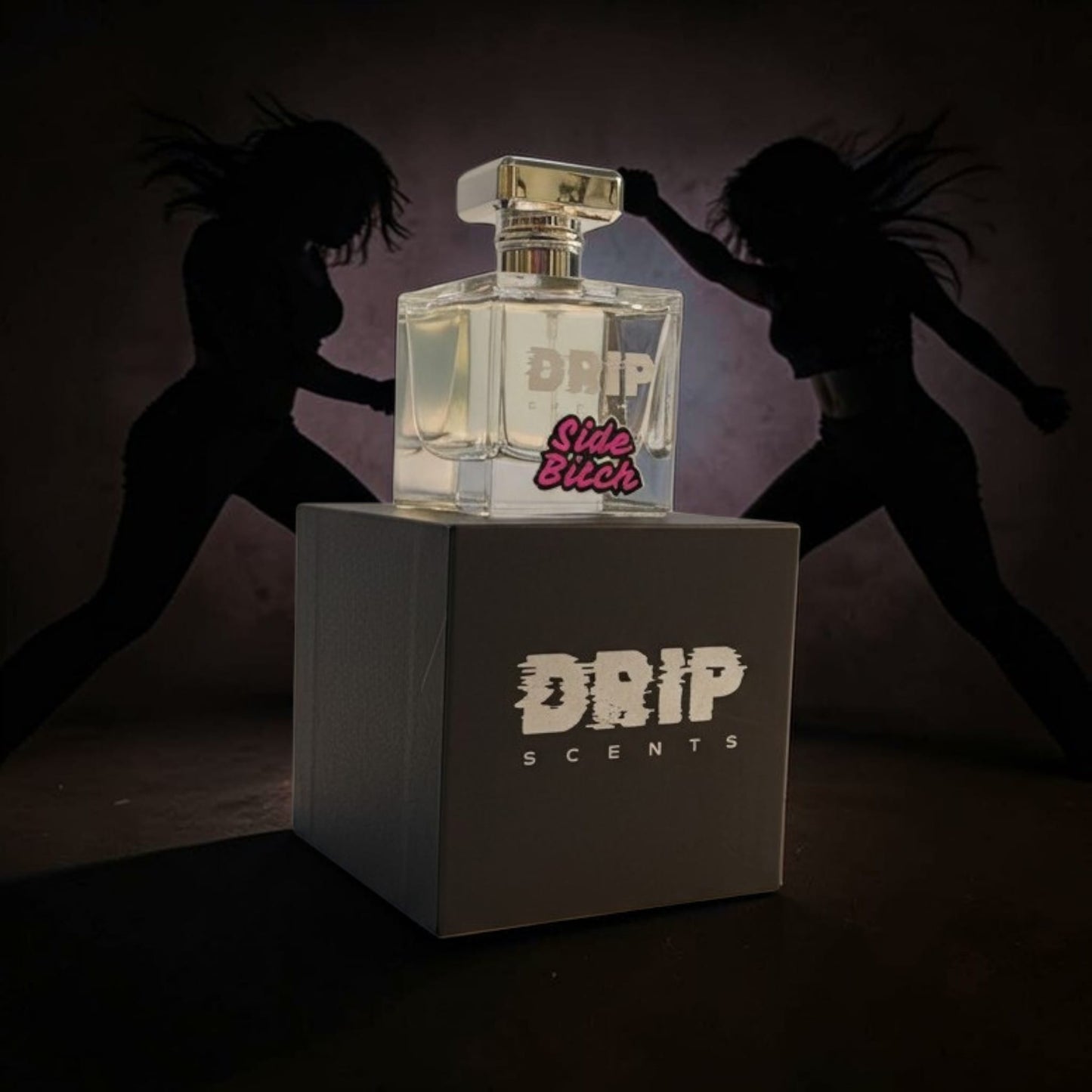 SIDE BITCH - inspired by Second Wife image 2